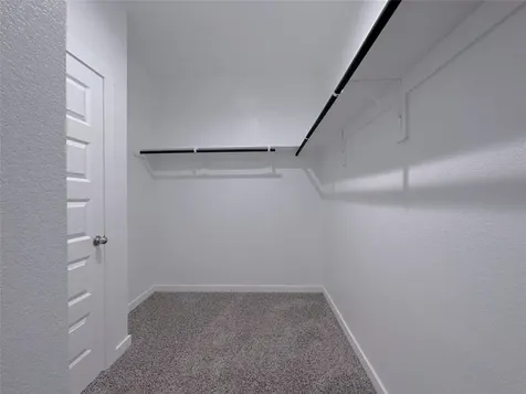 29914 Foxtail Pine Court Katy TX 77494
