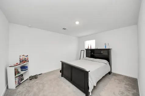 21719 Flannel Bush Lane Cypress TX 77433