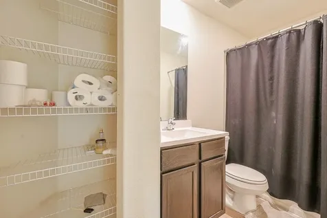 1219 Paradise Found Drive Iowa Colony TX 77583