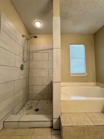 11 Cottage Grove Place The Woodlands TX 77381