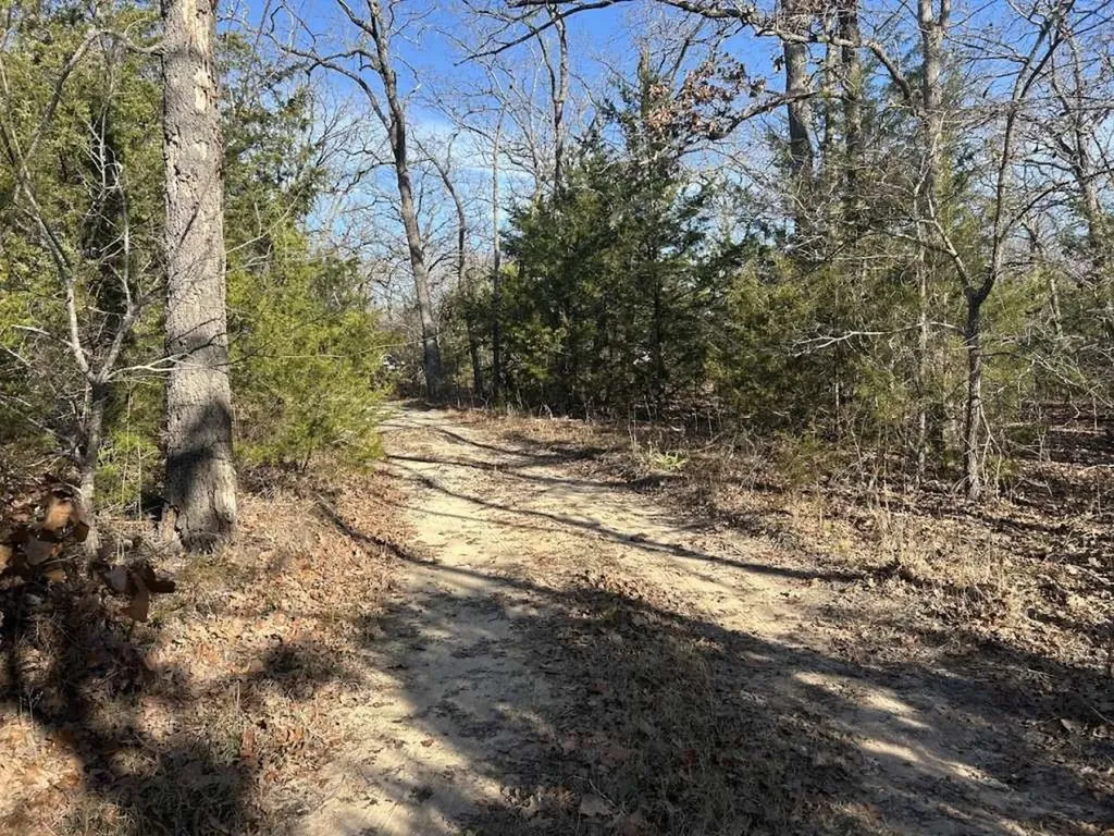 0 Lots 782-783, 786-787 Faye Hawk Cove TX 75474