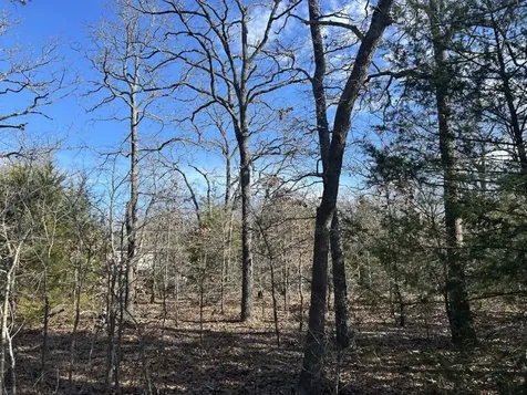 0 Lots 782-783, 786-787 Faye Hawk Cove TX 75474