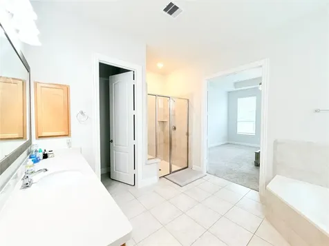 6610 Lake Oasis Drive Katy TX 77493