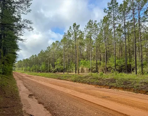 0 T-3 Benny Griffen Road Livingston TX 77351