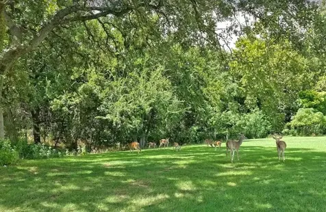 1912 Santa Cruz Circle Leander TX 78645