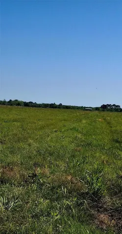 3448 Belton Lane Anahuac TX 77514