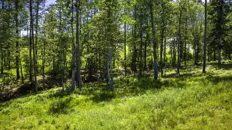 Tbd Lot 15 - Addison Road Livingston TX 77351