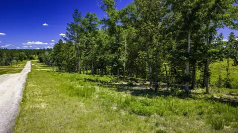 Tbd Lot 15 - Addison Road Livingston TX 77351