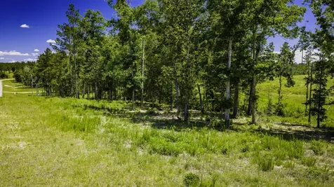 Tbd Lot 15 - Addison Road Livingston TX 77351