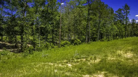 Tbd Lot 15 - Addison Road Livingston TX 77351