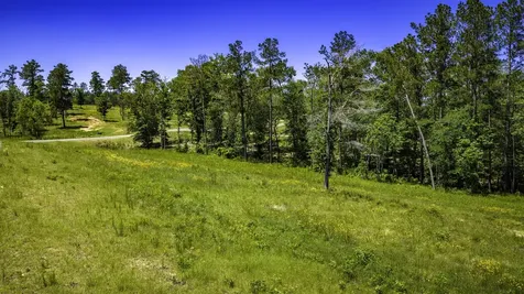 Tbd Lot 15 - Addison Road Livingston TX 77351