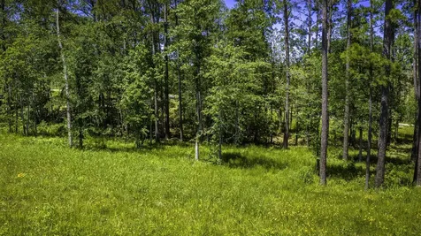 Tbd Lot 15 - Addison Road Livingston TX 77351
