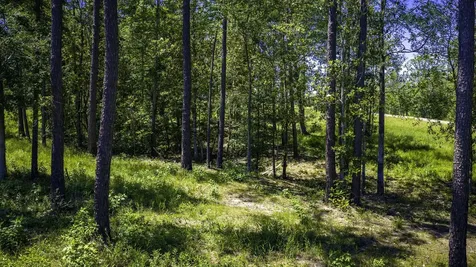 Tbd Lot 15 - Addison Road Livingston TX 77351