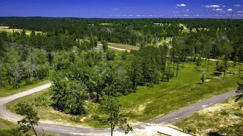 Tbd Lot 15 - Addison Road Livingston TX 77351
