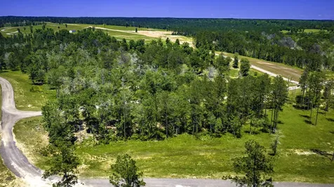 Tbd Lot 15 - Addison Road Livingston TX 77351