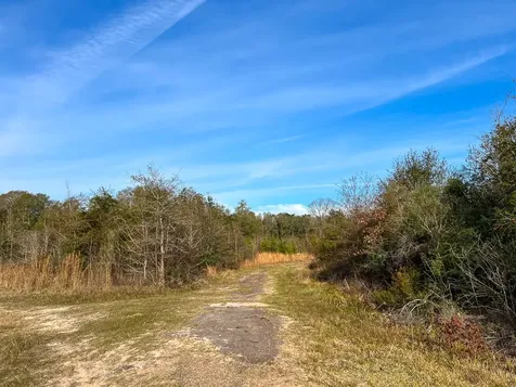 6 Tall Cotton Road Saratoga TX 77585