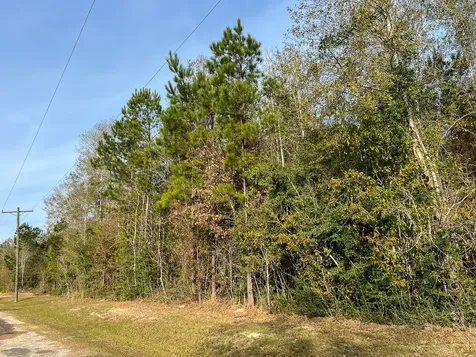 6 Tall Cotton Road Saratoga TX 77585