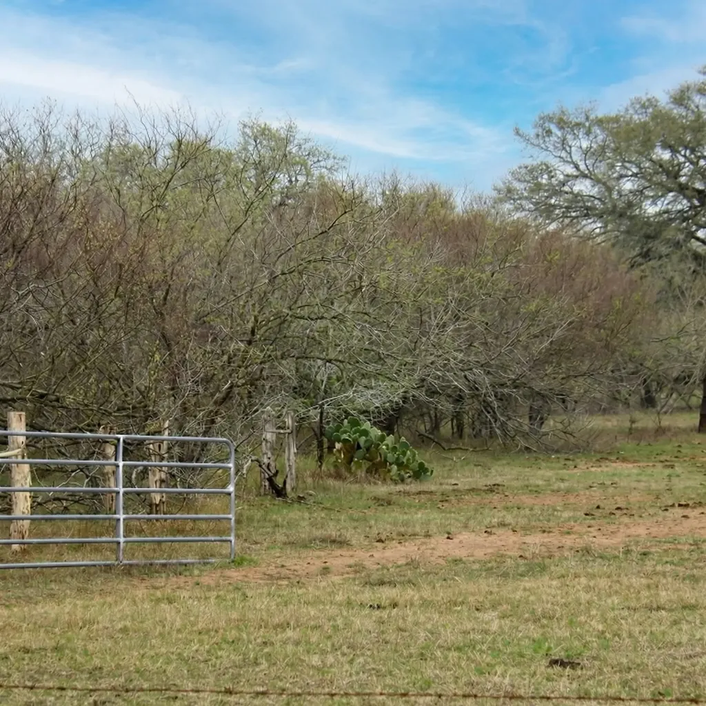 5020 Metting School Road Yorktown TX 78164