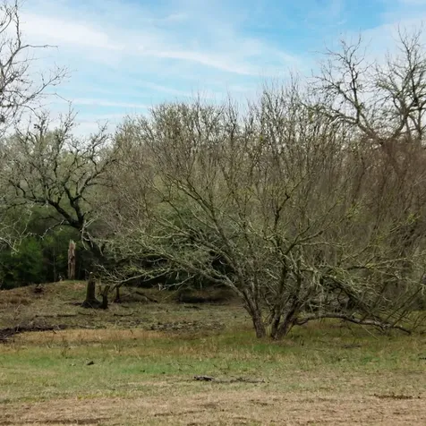 5020 Metting School Road Yorktown TX 78164