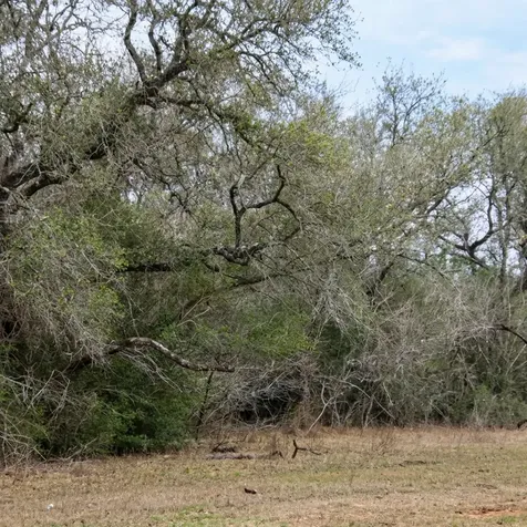 5020 Metting School Road Yorktown TX 78164
