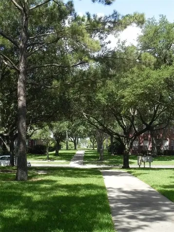 15242 Shapiro Springs Lane Houston TX 77095
