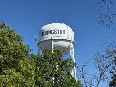 432 Young Street Livingston TX 77351