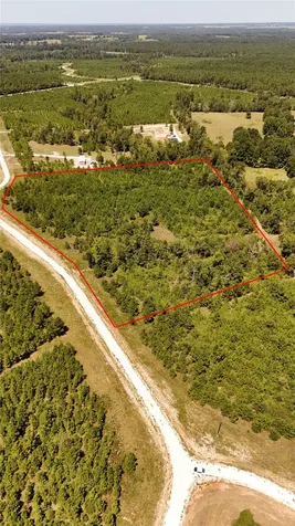 Tract 100 Robertson Road Lovelady TX 75851
