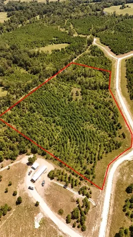 Tract 100 Robertson Road Lovelady TX 75851