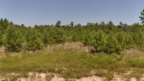 Tract 100 Robertson Road Lovelady TX 75851