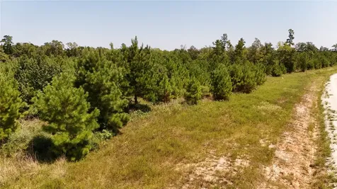 Tract 100 Robertson Road Lovelady TX 75851