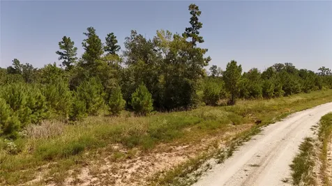 Tract 100 Robertson Road Lovelady TX 75851