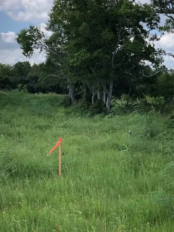 TBD County Road 182 Raywood TX 77582
