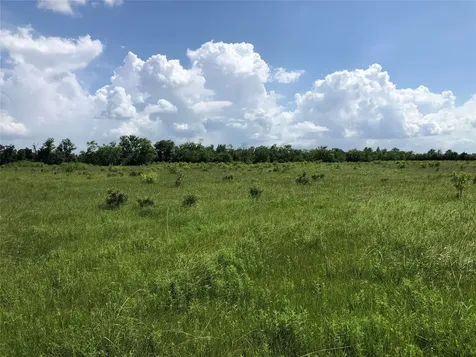 TBD County Road 182 Raywood TX 77582