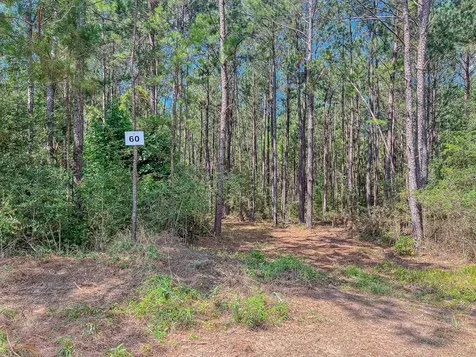 Id 25417 Lot 60 Fm 705 Broaddus TX 75929