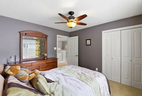 38 Dovewing Place The Woodlands TX 77382