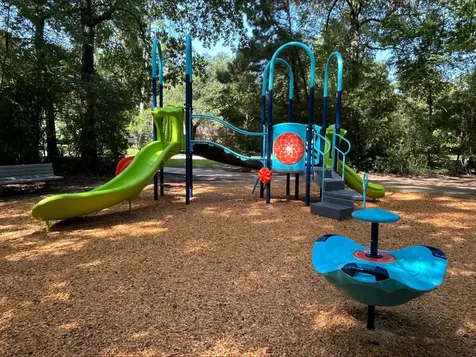 38 Dovewing Place The Woodlands TX 77382