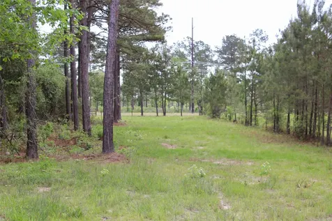 5300 State Highway 150 Coldspring TX 77331