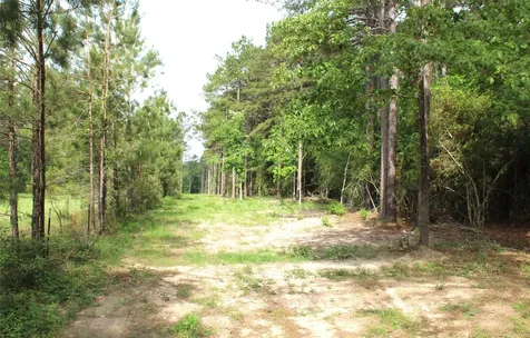 5300 State Highway 150 Coldspring TX 77331