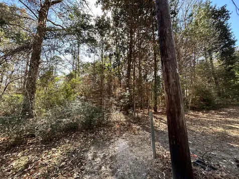 Lot 12 17th Street Ivanhoe TX 75979