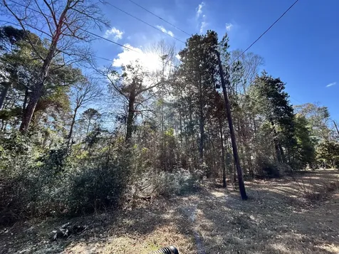 Lot 12 17th Street Ivanhoe TX 75979