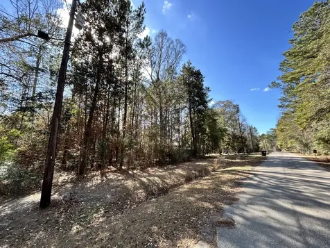 Lot 12 17th Street Ivanhoe TX 75979