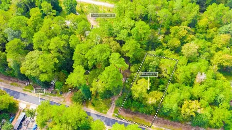 Lot 12 17th Street Ivanhoe TX 75979