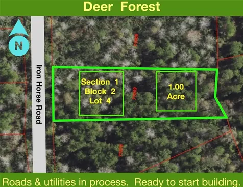 284 Iron Horse Road New Waverly TX 77358