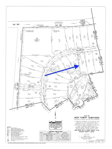 284 Iron Horse Road New Waverly TX 77358