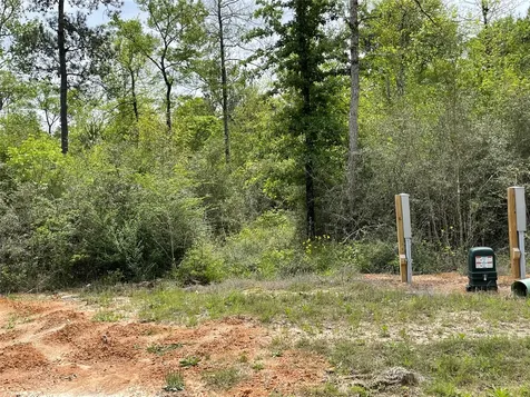 284 Iron Horse Road New Waverly TX 77358