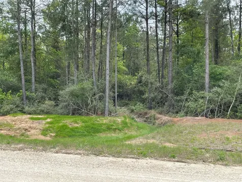 284 Iron Horse Road New Waverly TX 77358