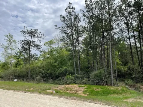 284 Iron Horse Road New Waverly TX 77358