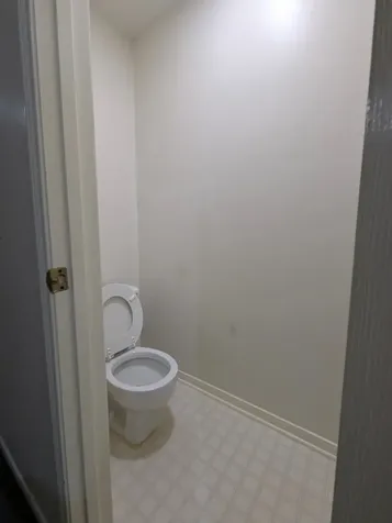 827 Coral Tree Place Missouri City TX 77459