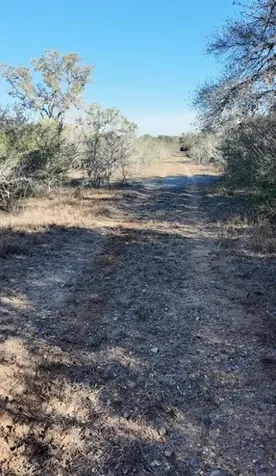 3382 E Fm 1961 Goliad TX 77963