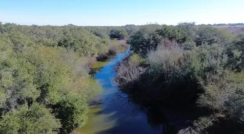 3382 E Fm 1961 Goliad TX 77963